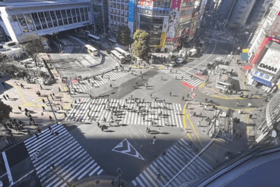 Gappy Japan travel experience highlight - Limited pre-access to unique Tokyo activities and experiences